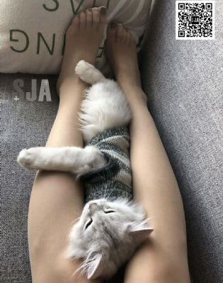 绝望主妇第三季高清在线观看免费_1080P神马影院手机在线