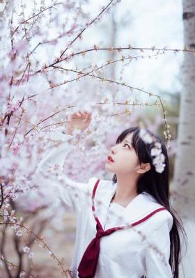 一区视频_1080免费电视剧
